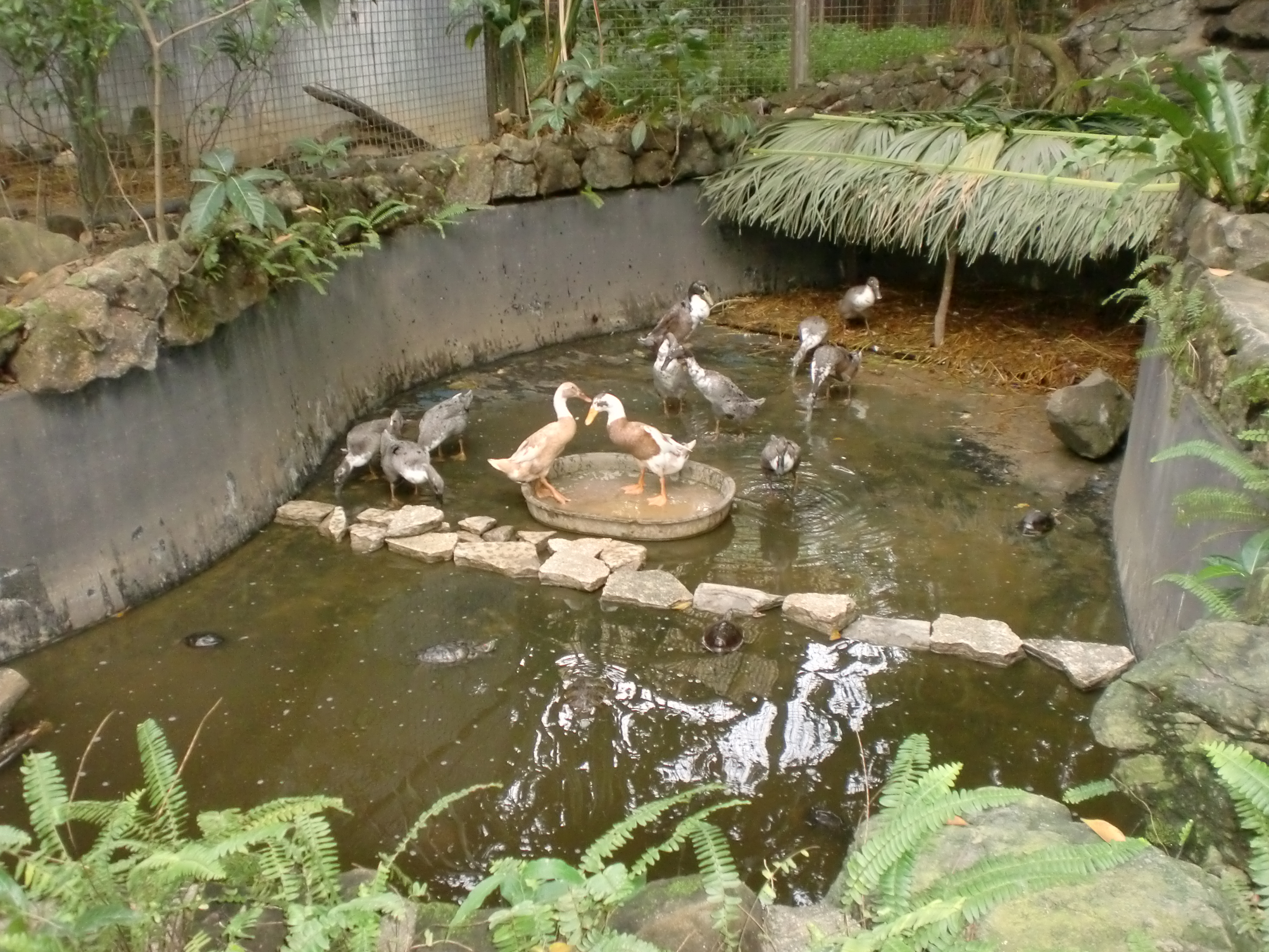 CIMG0363