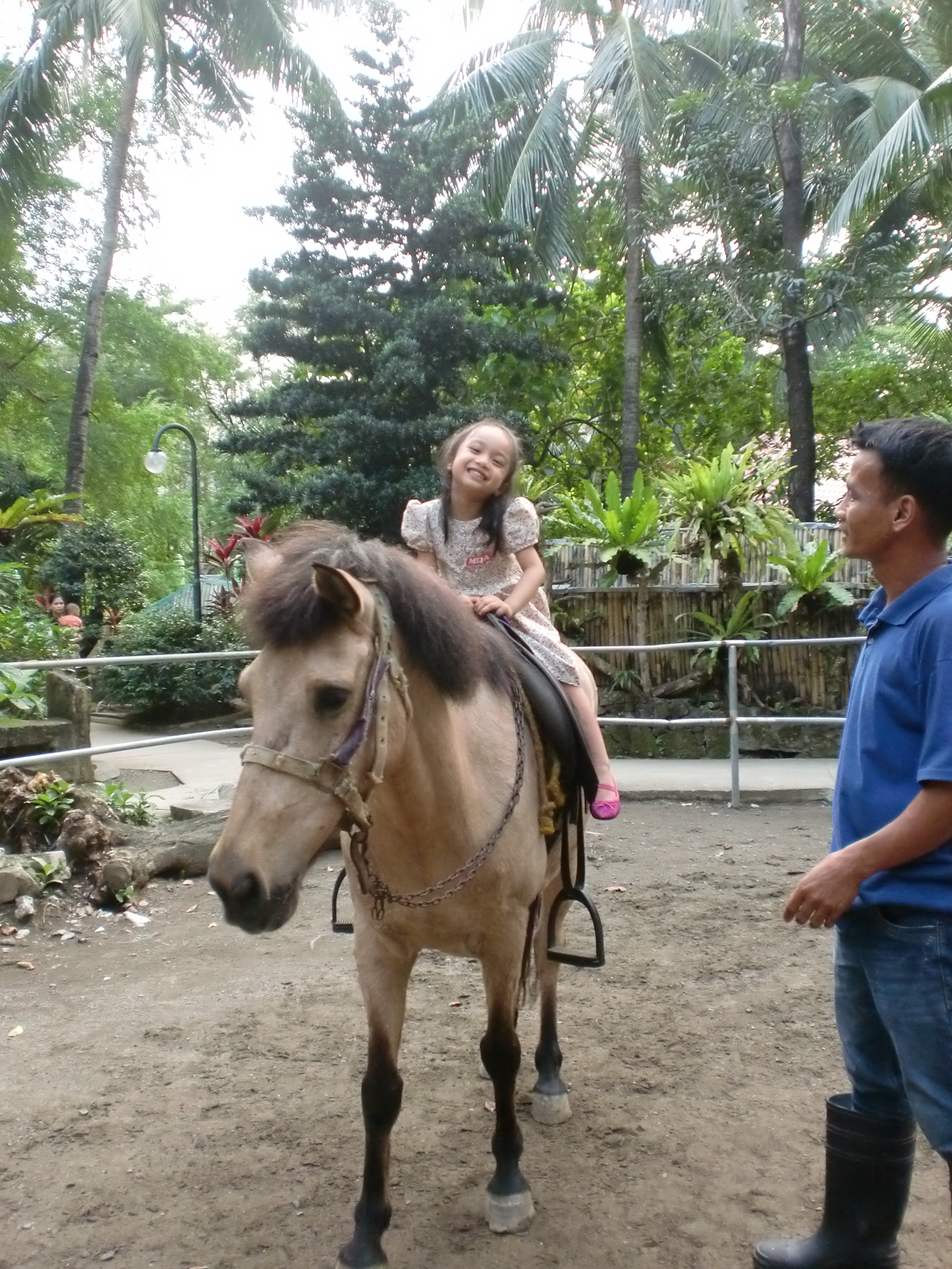 Adventure Jungle Horse riding